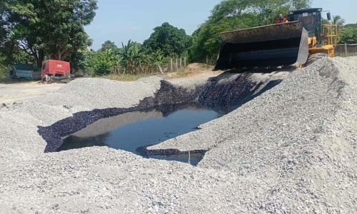 Alianza estratégica entre Conalza y el sector no estatal