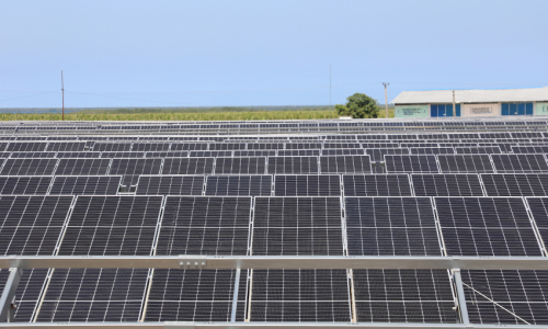Nueva Línea Photovoltaic Solar Park, an Inkling of Calm in Adversity