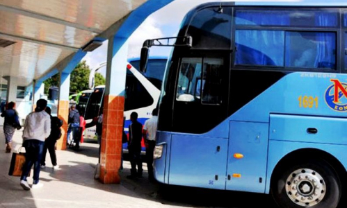 La impronta de la Anir en Ómnibus Nacionales