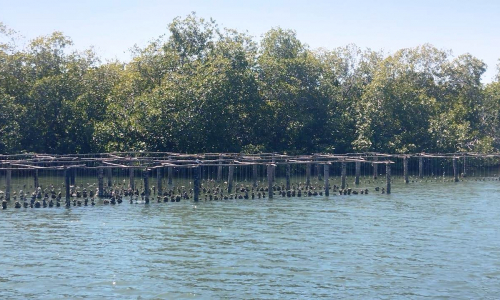 La pesca y la armonía con el medio ambiente