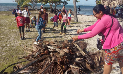 Potencian en Guayabal cuidado del medio ambiente 