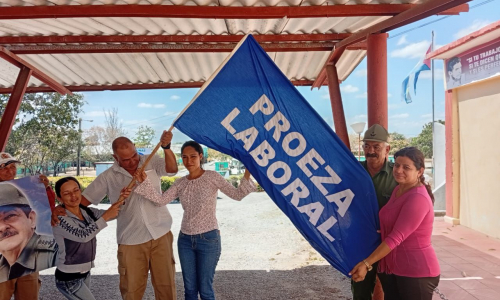 Proeza tunera en los campos de Holguín