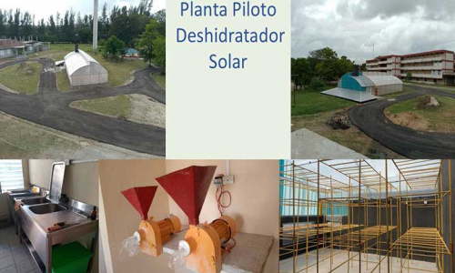 La ciencia en busca del impulso de la economía tunera