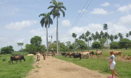 La producción de alimentos a debate en el Pleno del Partido 