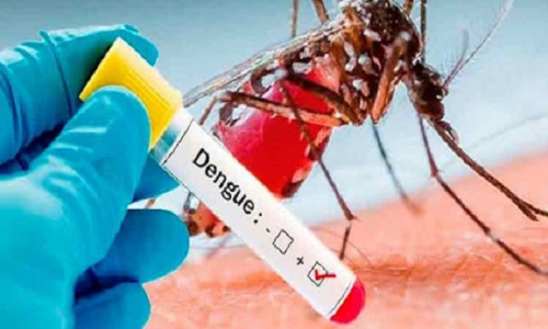 Llaman autoridades de la salud a acudir al médico ante cualquier síntoma de Dengue