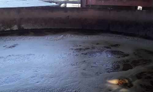 Se alista Derivados en “Amancio” para producir alcohol 