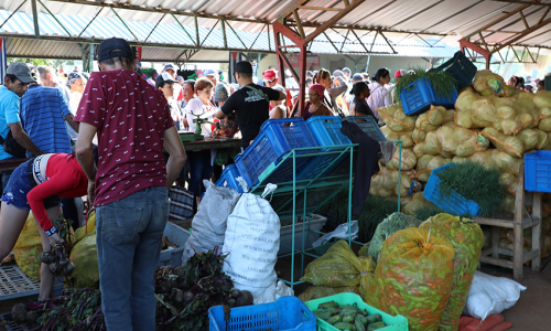 Desarrollan Feria agrocomercial (galería de fotos)