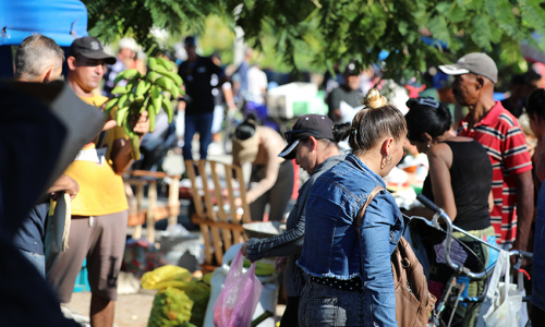 Entre aromas, tradiciones y tierra adentro: la feria de Chaparra