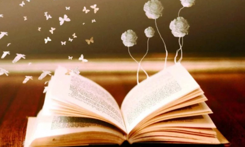 Leer, ¿una rareza?    