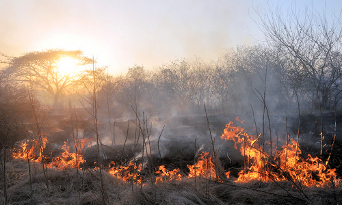 Desarrollan en Las Tunas Semana Nacional de Protección contra Incendios