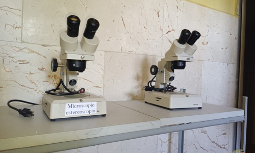 Aún sin certificación servicio de hematología bovina en Jobabo
