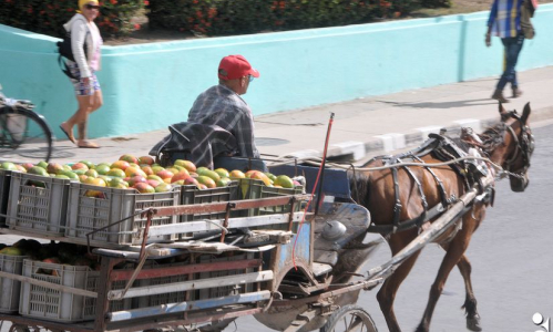 Refuerzan control ante violaciones de precios en Las Tunas