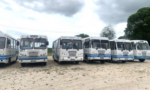 Cardinal releva a Ómnibus Nacionales y establece dos salidas diarias a Puerto Padre