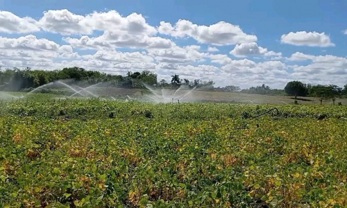 Universidad de Las Tunas impulsa producción de alimentos con tecnología fotovoltaica
