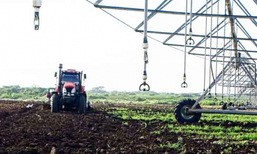 Estrategia empresarial pretende recuperar gestión agropecuaria estatal en Jobabo