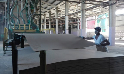 The Bagasse Board Factory Exploits New Production “Plots”