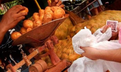 Collection Company Distributes Potatoes in Las Tunas