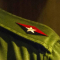 100 Fidel: El genio que no quiso ser dios