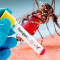 Llaman autoridades de la salud a acudir al médico ante cualquier síntoma de Dengue