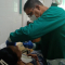 Encías sanas, la retaguardia de una buena dentadura (+infografía)