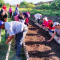 Con trabajo, el tributo a Fidel  