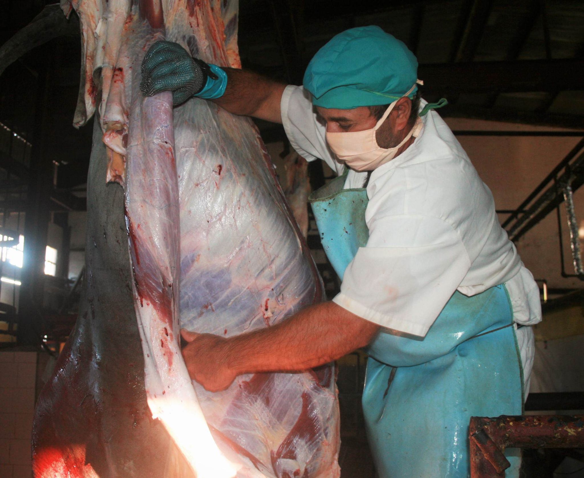 Álvaro Barba meat processing plant