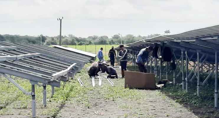 Nueva Línea photovoltaic solar park, in Delicias, Puerto Padre, Las Tunas.