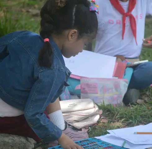 Festival de papalotes 