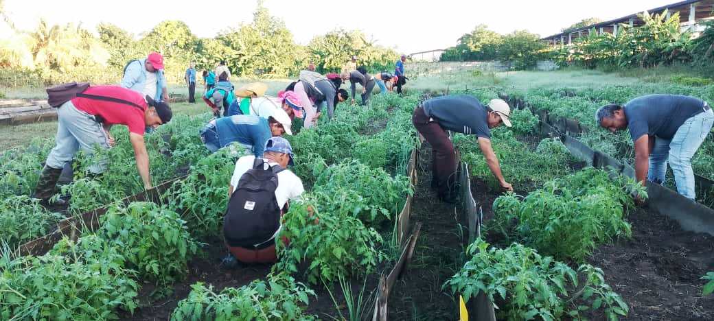 Contrabajo1 Jornada Nacional de Trabajo Voluntario CTC Las Tunas