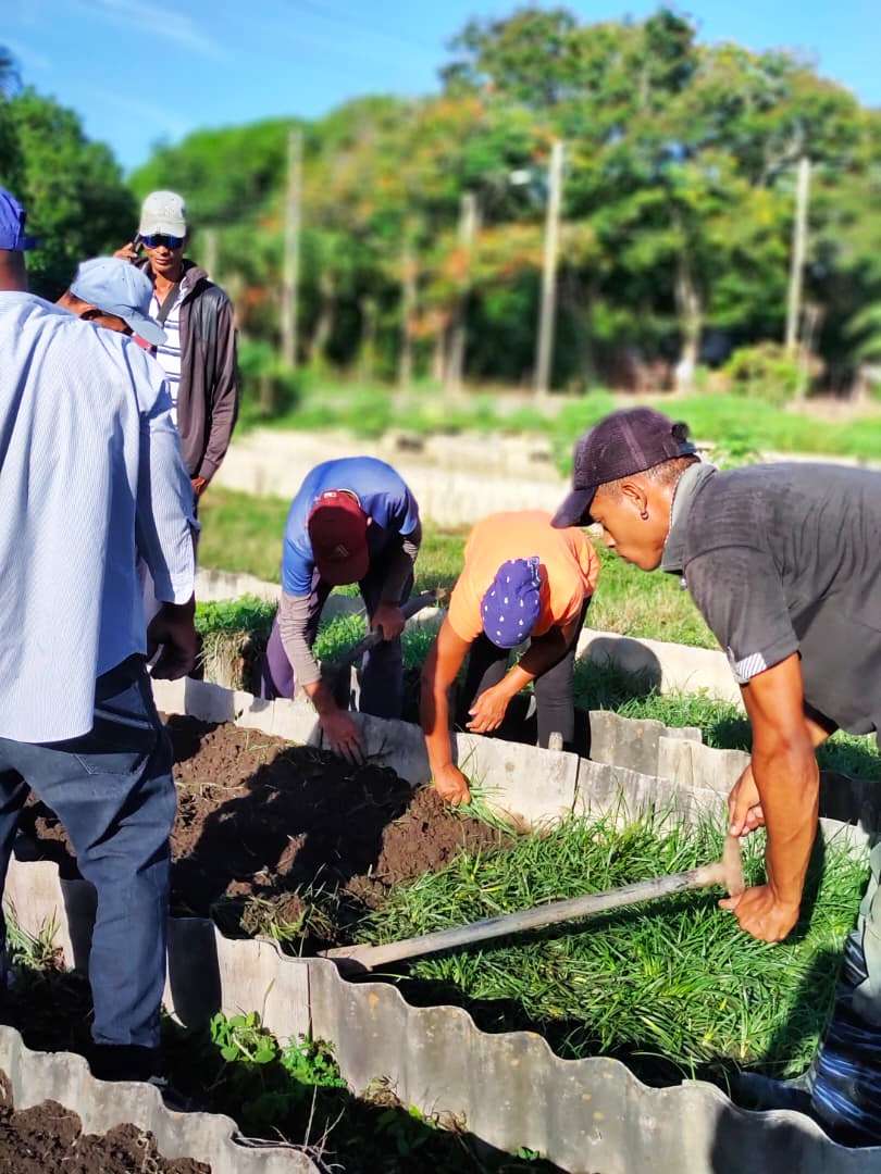 trabajo voluntario agosto 2026 1