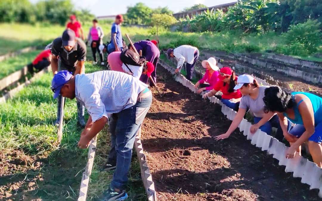 trabajo voluntario agosto 2026 2