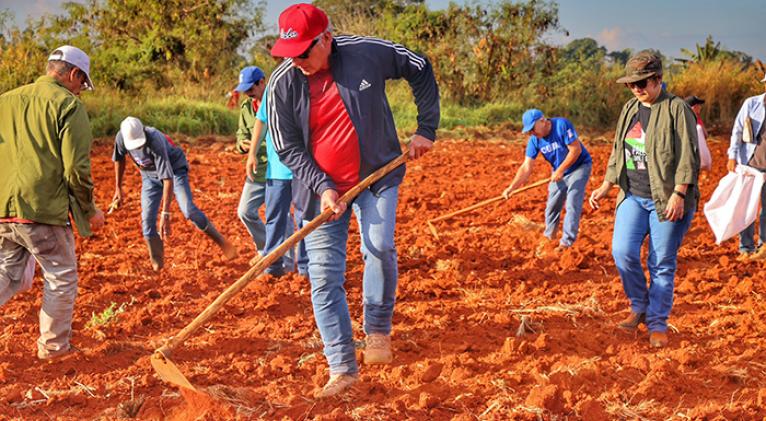0 23 dc trabajo voluntario