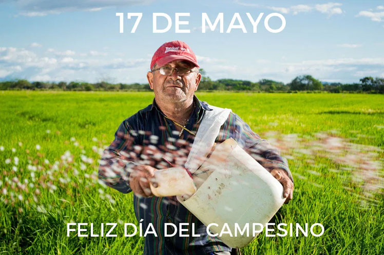 0 campesino