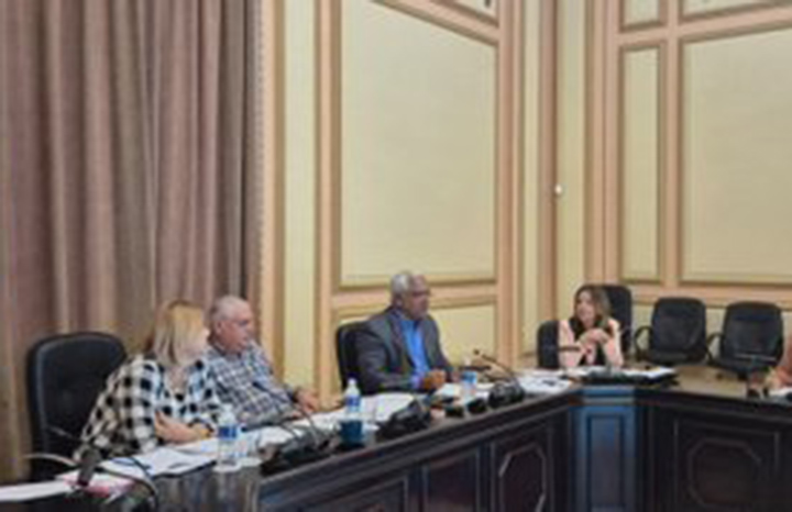 0612 diputados