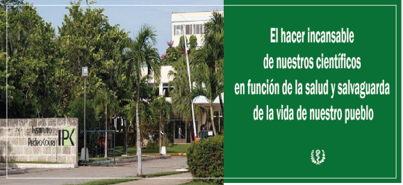 Mesa de trabajo 1 copia 8 e1728358115685
