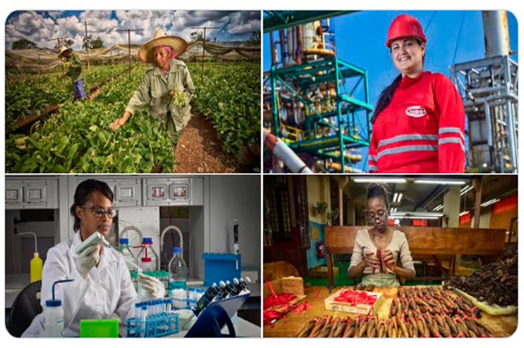 w twitter presidente