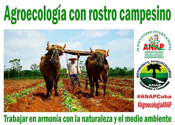 Participantes de 16 países debatieron acerca de varios temas relacionados con las dinámicas agrícolas y ecológicas.