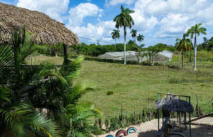Las ayudas facilitadas por la FAO en la isla impulsan el desarrollo del turismo agrario y de naturaleza.