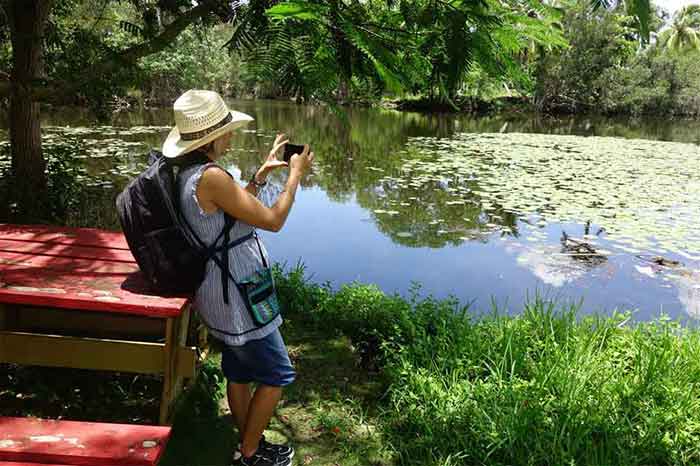 Viajeros interesados en conocer los asentamientos de cocodrilos en la isla.