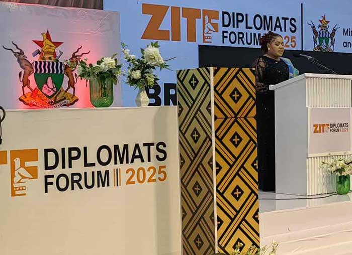Sheillah Chikomo, viceministra de Asuntos Exteriores y Comercio Internacional de Zimbabwe.