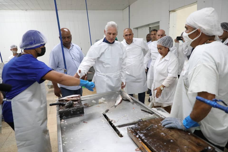 Díaz-Canel asked abour PESCATUN productions.