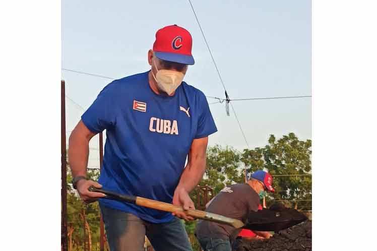Cuban President Miguel Díaz-Canel on Monday participated in volunteer work 