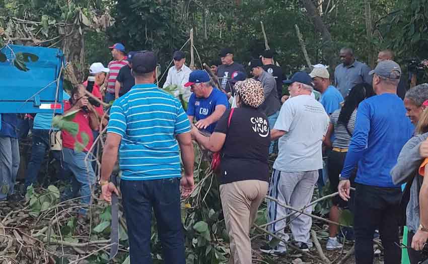 Cuban President joins in volunteer work after Hurricane Ian