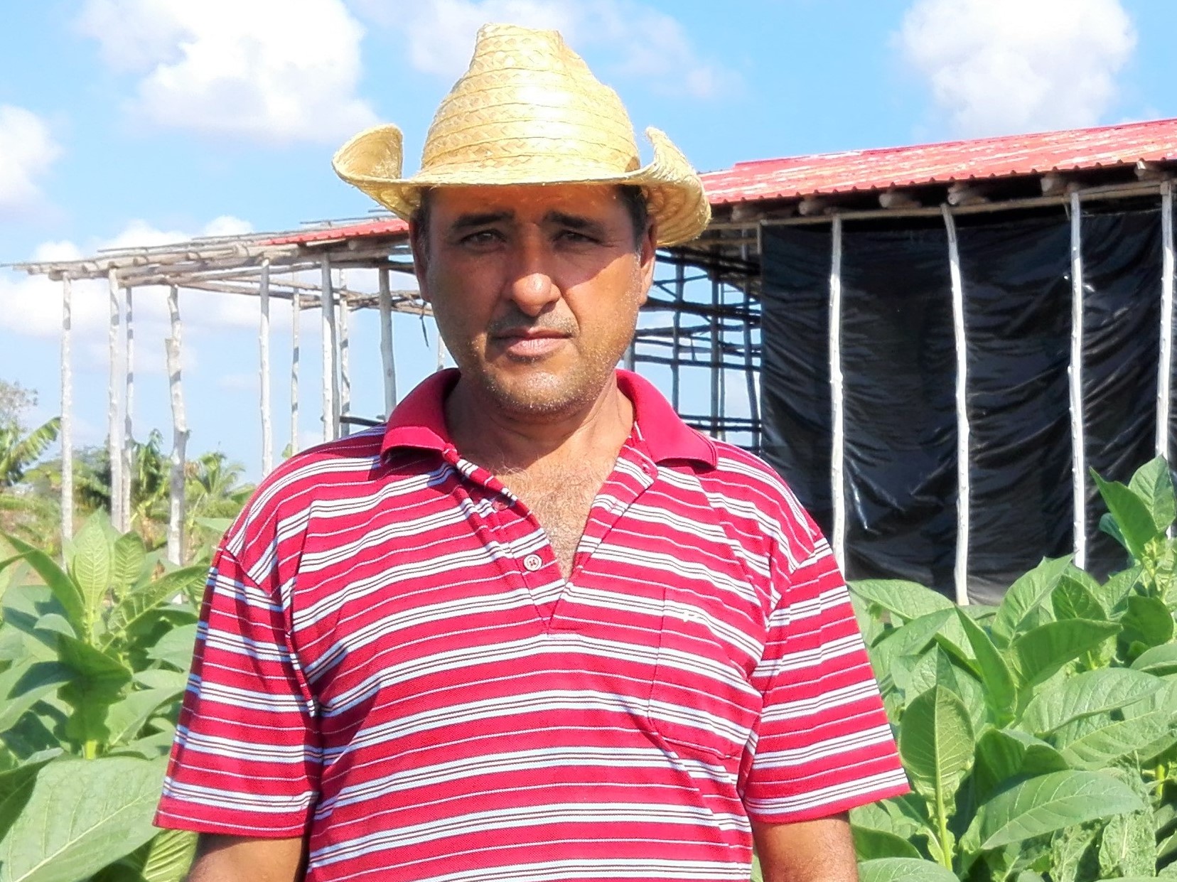 Luis Bernardo Rodríguez Peña ok ok