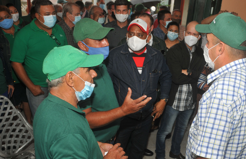 Tienda en MLC para sector agropecuario 1