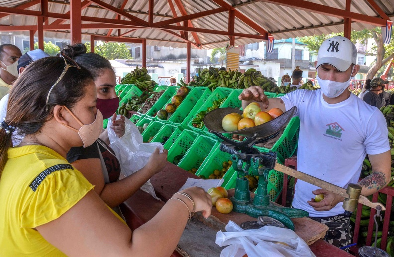 Los Almendros agricultural market