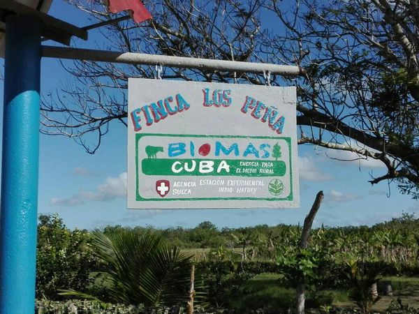 Biomás Cuba project