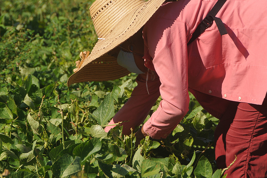 Agriculture demands a workforce.