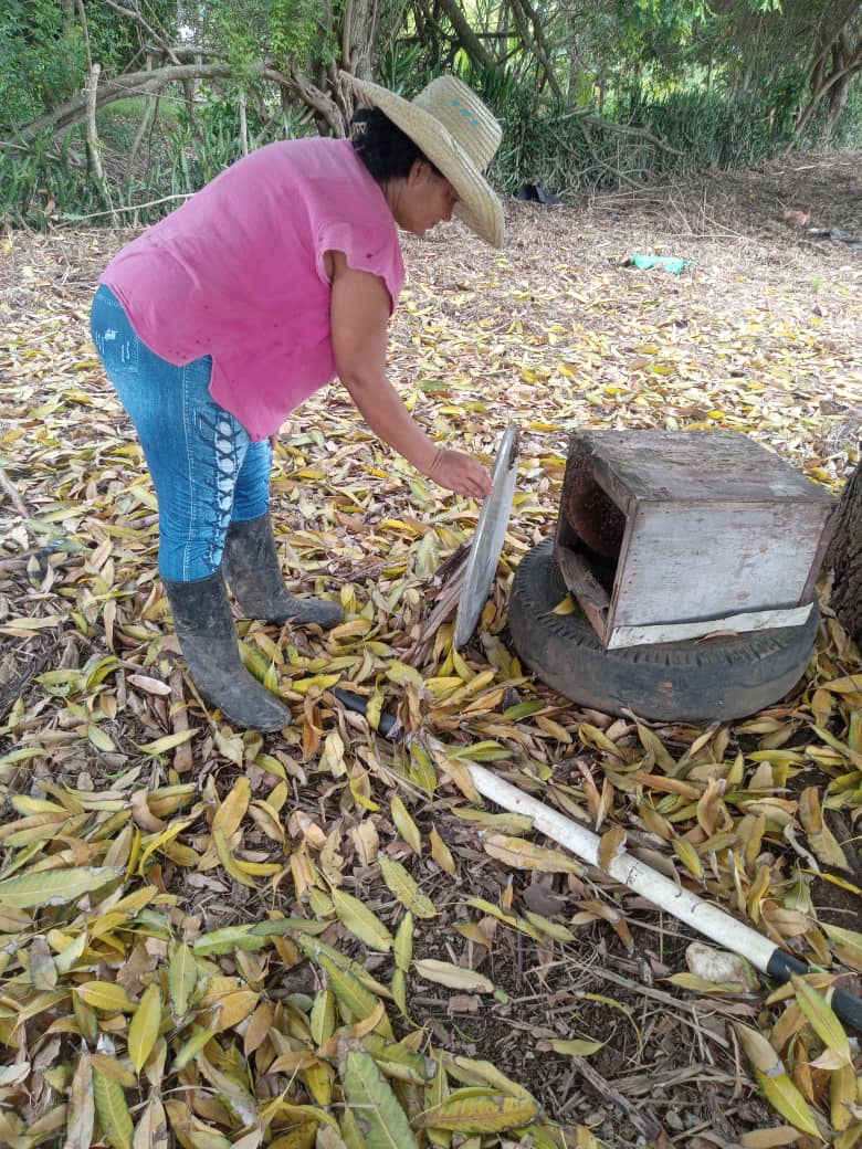 Adisleydis Buyaín Matos 1