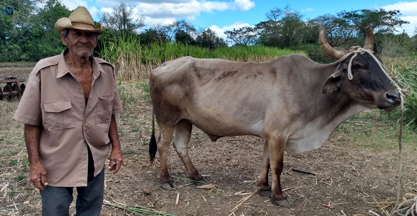 Alcides Céspedes de La O 1